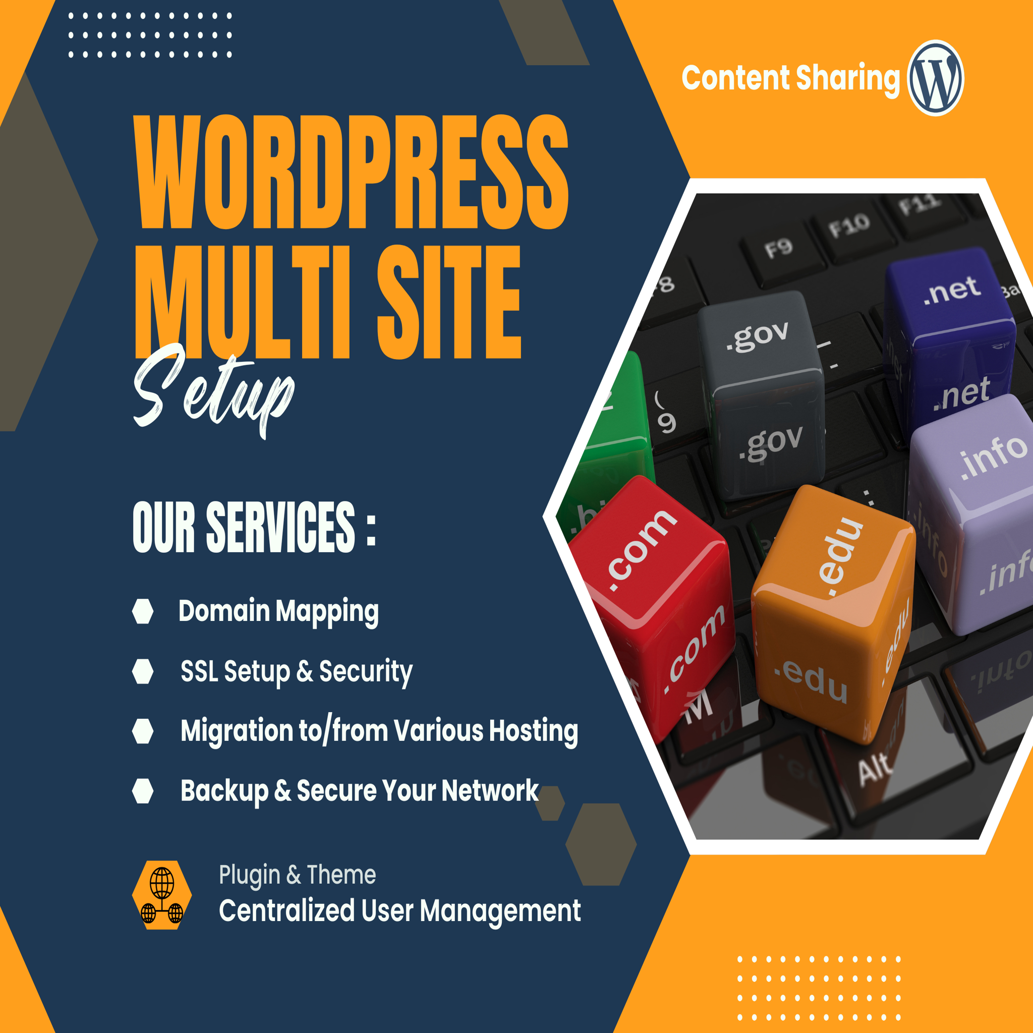 WordPress Multisite Setup, Configuration & Migration Services